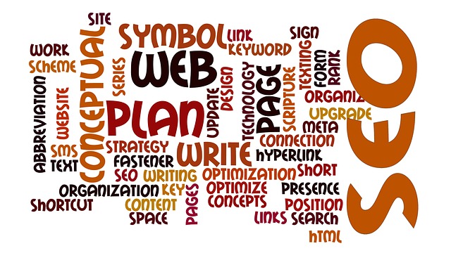 web agency pavia